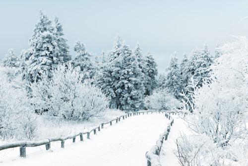终南阴岭秀，积雪浮云端。