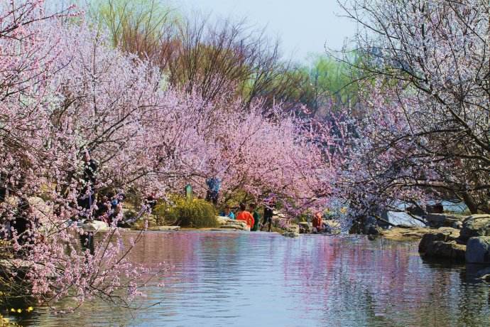 桃花溪