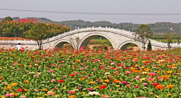 钱塘湖春行